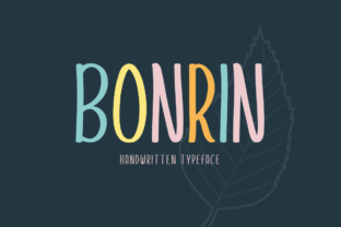 Choosing the Bonrin Font for a Polished Web Design