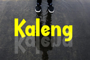 Discover Kaleng: A Playful Sans Serif Font for Modern Publishing
