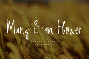 Mung Bean Flower: A Font for Building a Warm Brand Identity