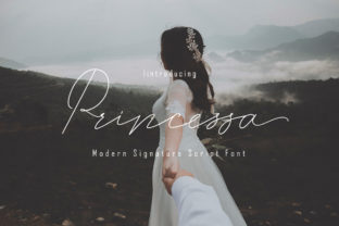 Princessa: A Romantic Script Font for Elegant Branding